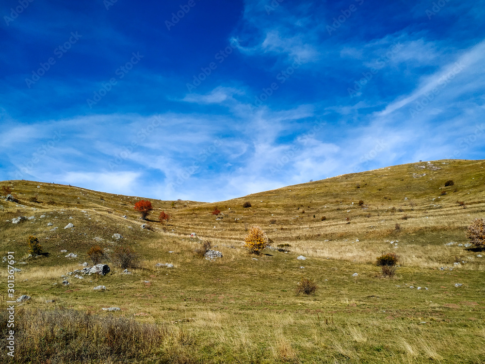 Obraz premium Serene dream like view of nature great for meditation in peaceful healthy isolated environment in the nature for stress and anxiety relief