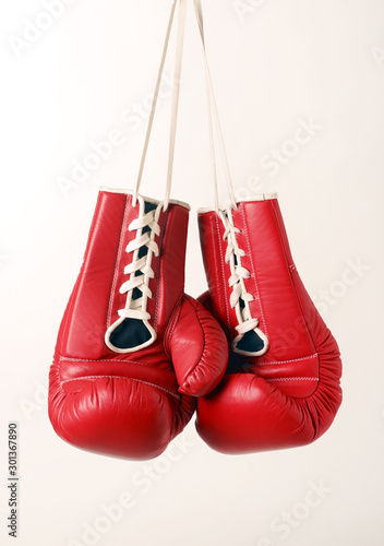 Boxing Gloves © Danie Nel