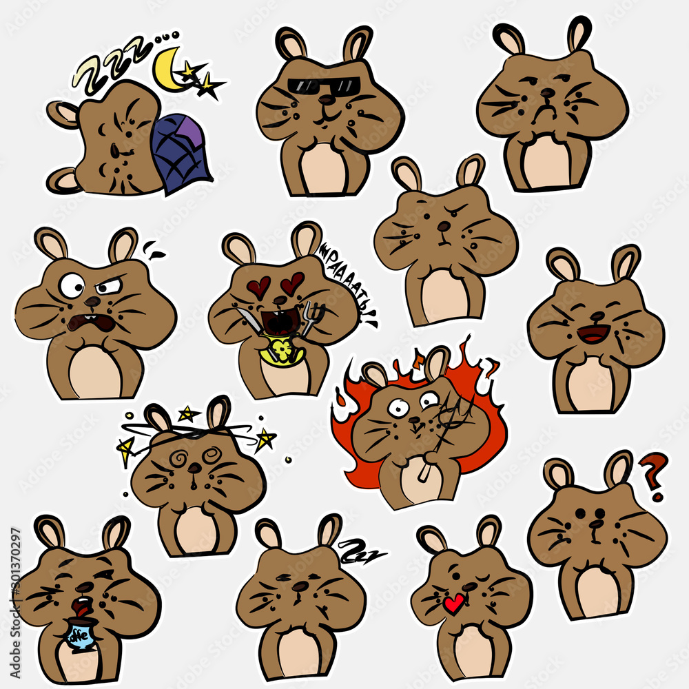 set of hamster set of hamster