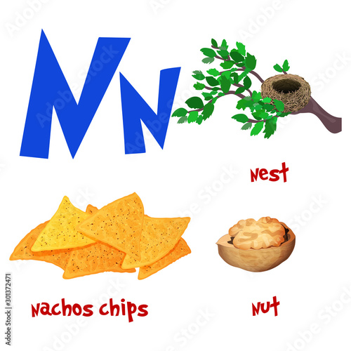 Vector cute kids cartoon alphabet. Letter N with nest, nachos and nut.