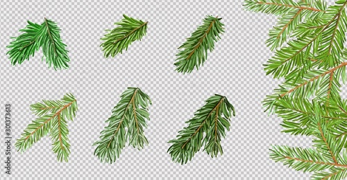 Pine tree branch brush on transparent background. Element for christmas or New Year design. Vector illustration for your design