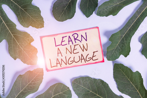 Text sign showing Learn A New Language. Business photo showcasing Study Words other than the Native Mother Tongue Leaves surrounding notepaper above an empty soft pastel table as background photo