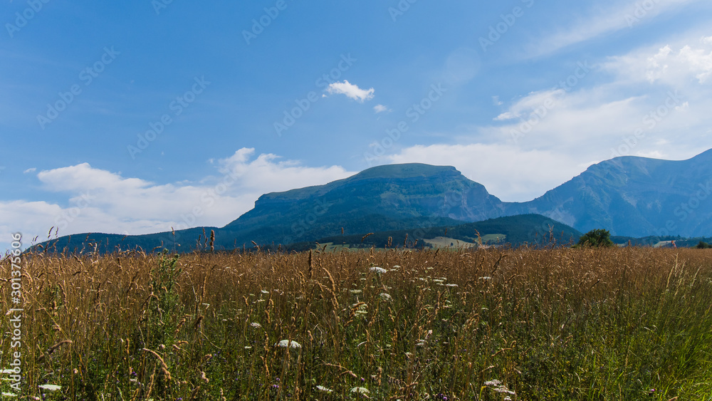 Fototapeta premium Le chatel, trièves, france