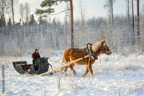 Woman and horse with sleigh in winter © citikka
