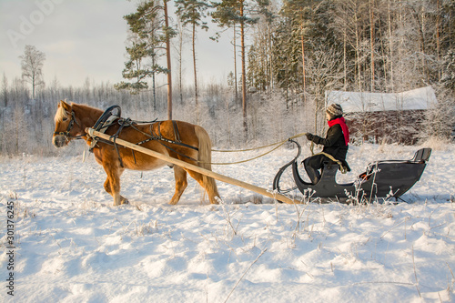 Woman and horse with sleigh in winter
