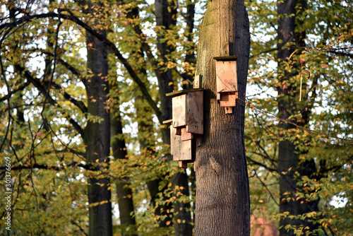 Birds nesting boxes on the trees in the park.