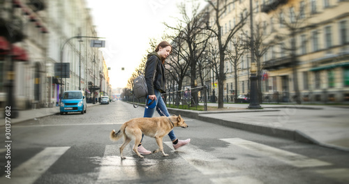 Young woman with dog on leash walking on pedestrian crossing