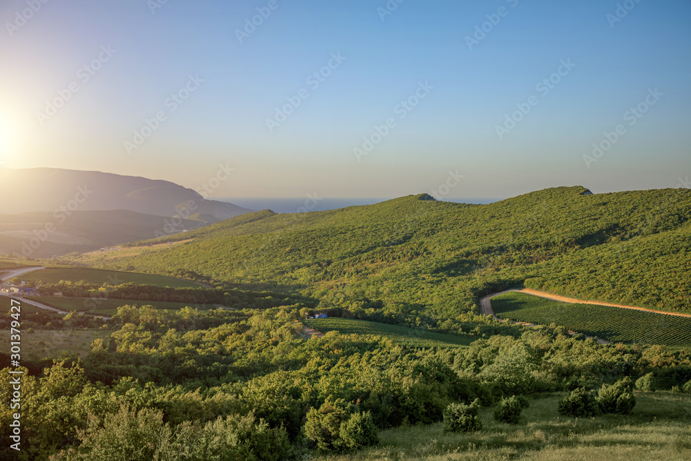 mountain landscape and vineyards on a sunny day