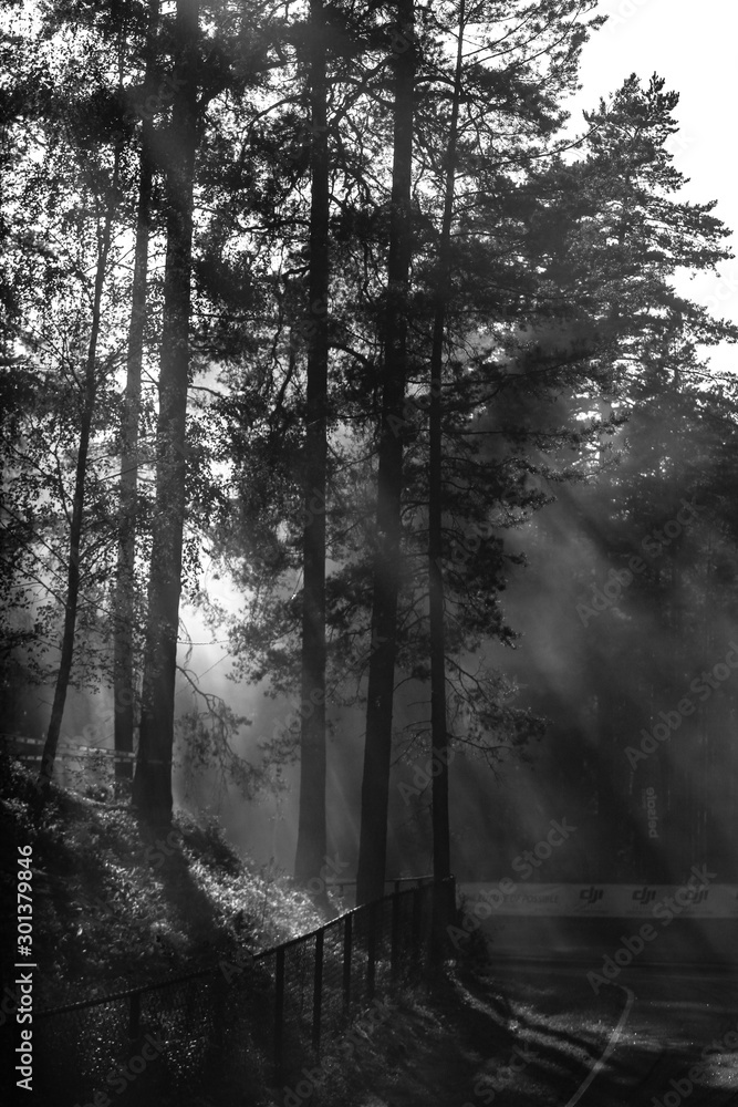 Misty view of racetrack located in deep forest. Racetrack located in Europe-Latvia-Biķernieki. The scene was captured after a drift cars have passed the corner creating an unique mist. Misty view of racetrack located in deep forest. Racetrack located in Europe-Latvia-Biķernieki. The scene was captured after a drift cars have passed the corner creating an unique mist.