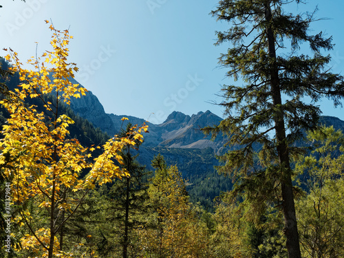   sterreich Landschaft. Naturpark Karwendel. Sch  ner Wanderweg zwischen Nadelb  umen und Almwiesen nach Gernalm und Sonnjoch Spitze