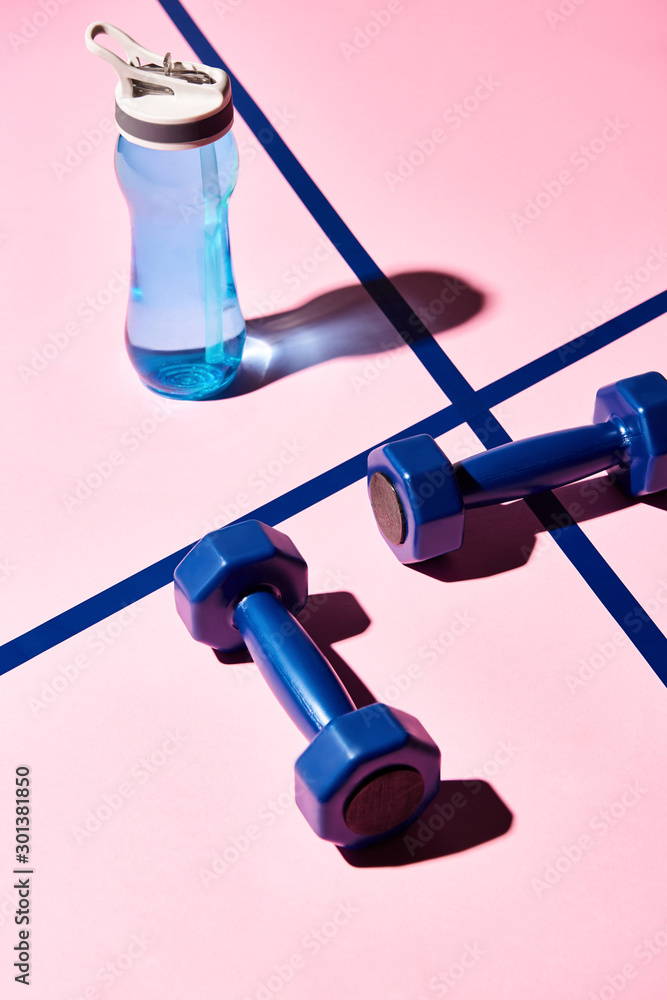 High angle view of dumbbells and water bottle on pink background High angle view of dumbbells and water bottle on pink background