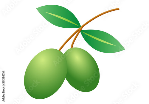 Dos aceitunas sobre un fondo blanco.