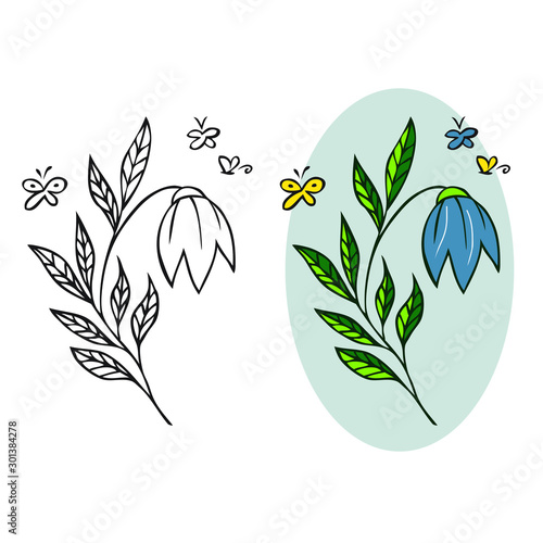 bell flower illustration