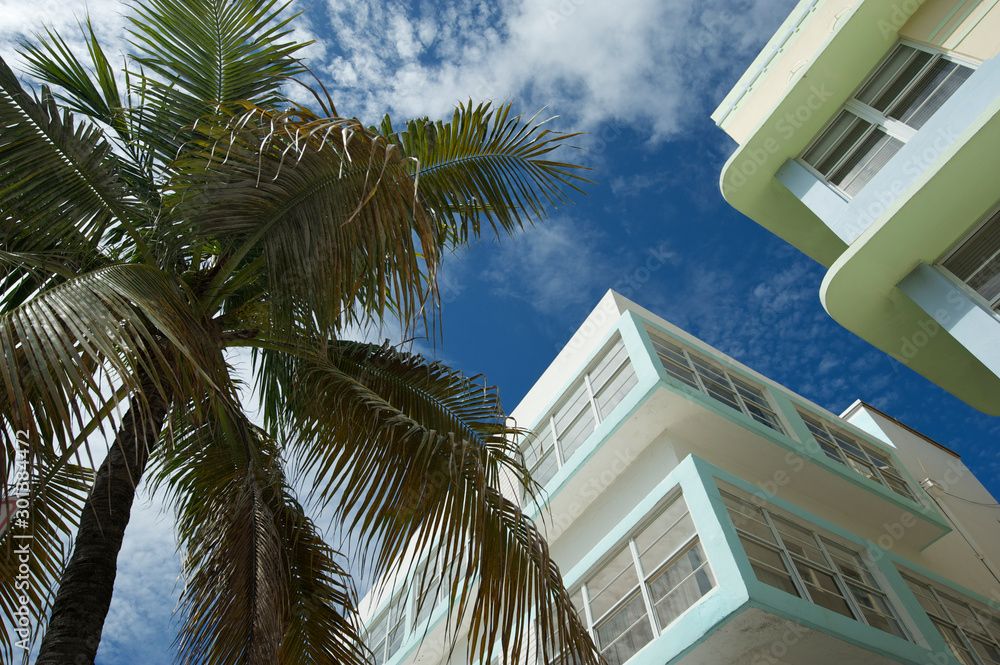 Sunny architectural detail view of Art Deco buildings in South Beach with a palm tree under blue sky in Miami, Florida, USA