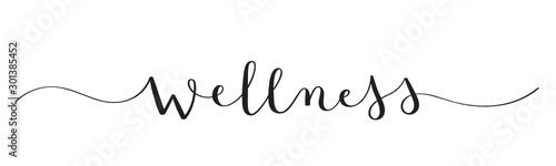 WELLNESS black vector brush calligraphy banner with swashes
