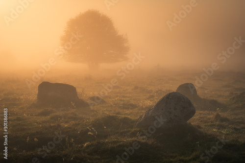 Foggy morning in the Glazowisko Rutka nature reserve in Suwalski Landscape Park, Podlaskie, Poland photo