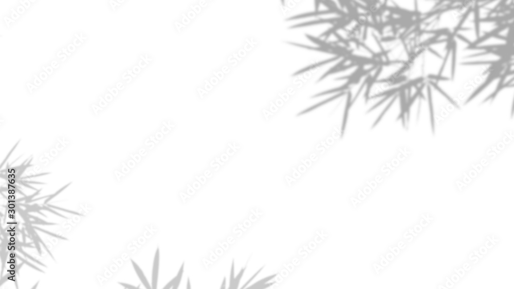 Fototapeta premium Shodows bamboo leaves isolated on white background.