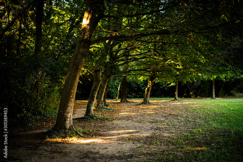 Public park of Villa Belved...