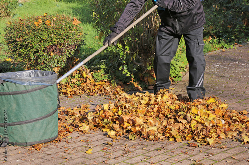 Photography Beseitigung von Herbstlaub