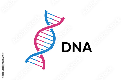 DNA spiral isolated. Vector deoxyribonucleic acid gene part. Modern simple microbiological genetic helix element structure on white background