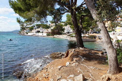 Balearen, Mallorca, Alcúdia, Alcanada photo