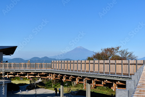 日本平から見る富士山 © teru0117105
