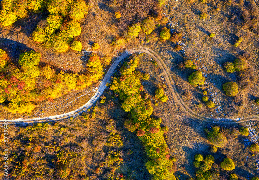 aerial top view from drone of park autumn landscape with trees, colorful lawn, and walking path aerial top view from drone of park autumn landscape with trees, colorful lawn, and walking path