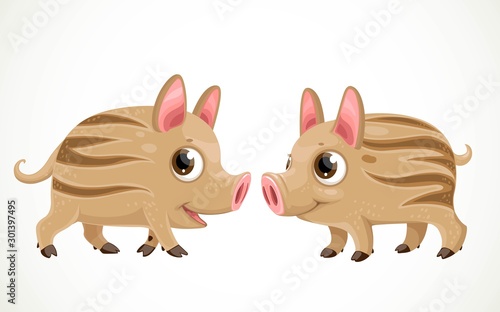 Two cute little wild pigs isolated on a white background