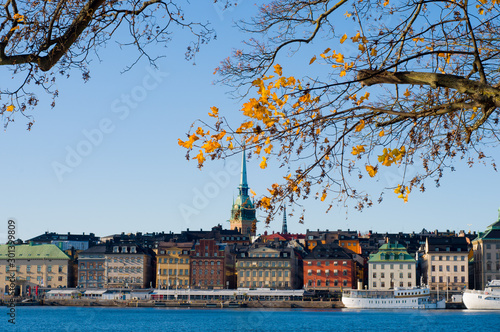 Photography Maple on the background of Stockholm
