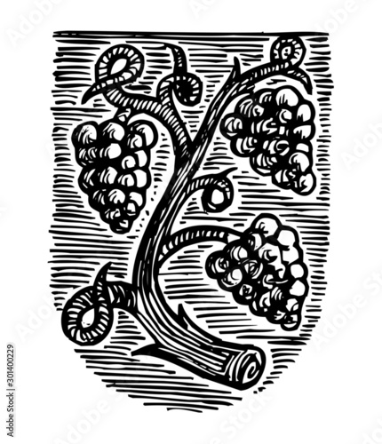 Symbol of winemakers, coat of arms with grapes, linocut