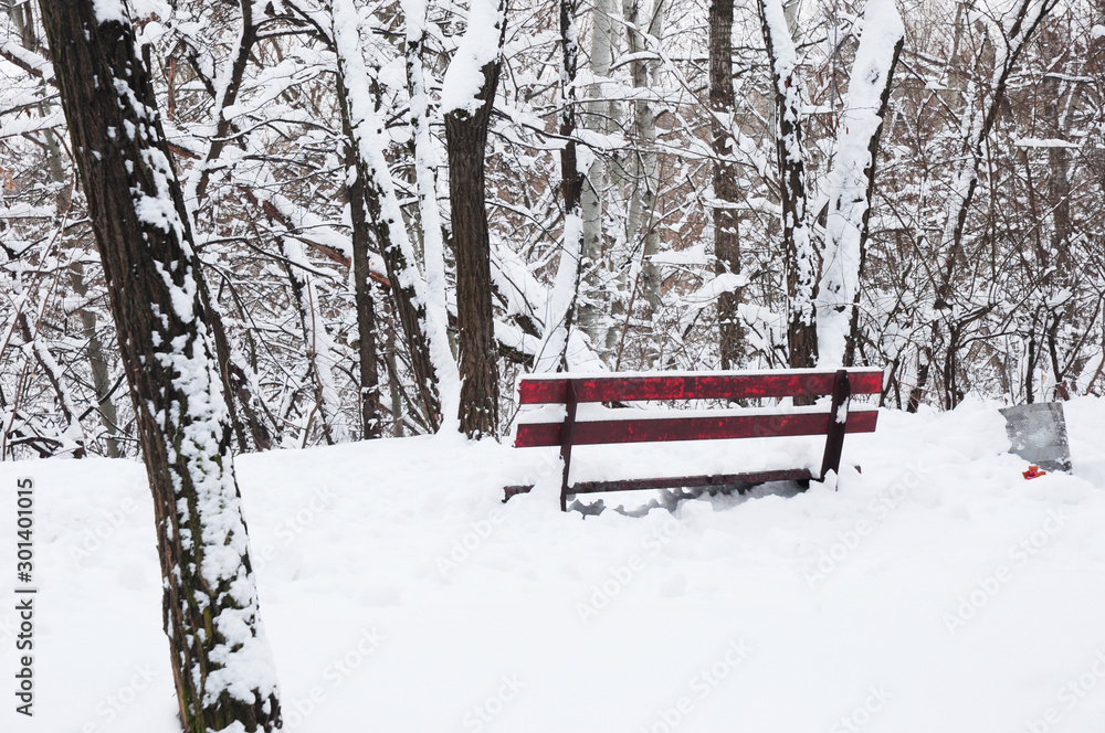 Wooden bench in the winter park covered snow. Loneliness on christmas holidays concept.