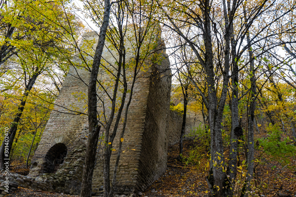 Fototapeta premium Georgian autumnal landscape