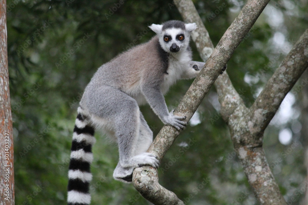 Obraz premium Klettern