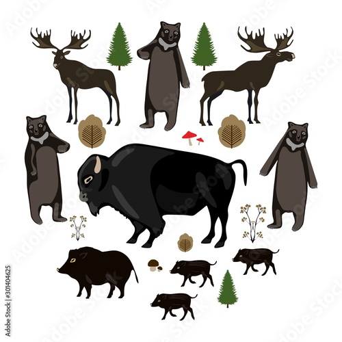 Set of forest animals vector on white background