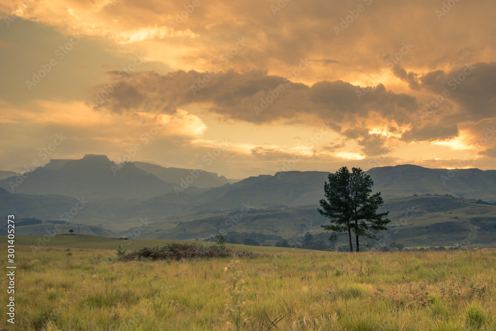 A panoramic of Champagne Castle mountain and surrounding hills in shades of blue with a grassy foreground and yellow sunset in central Drakensberg, near Winterton, KwaZulu-Natal, South Africa