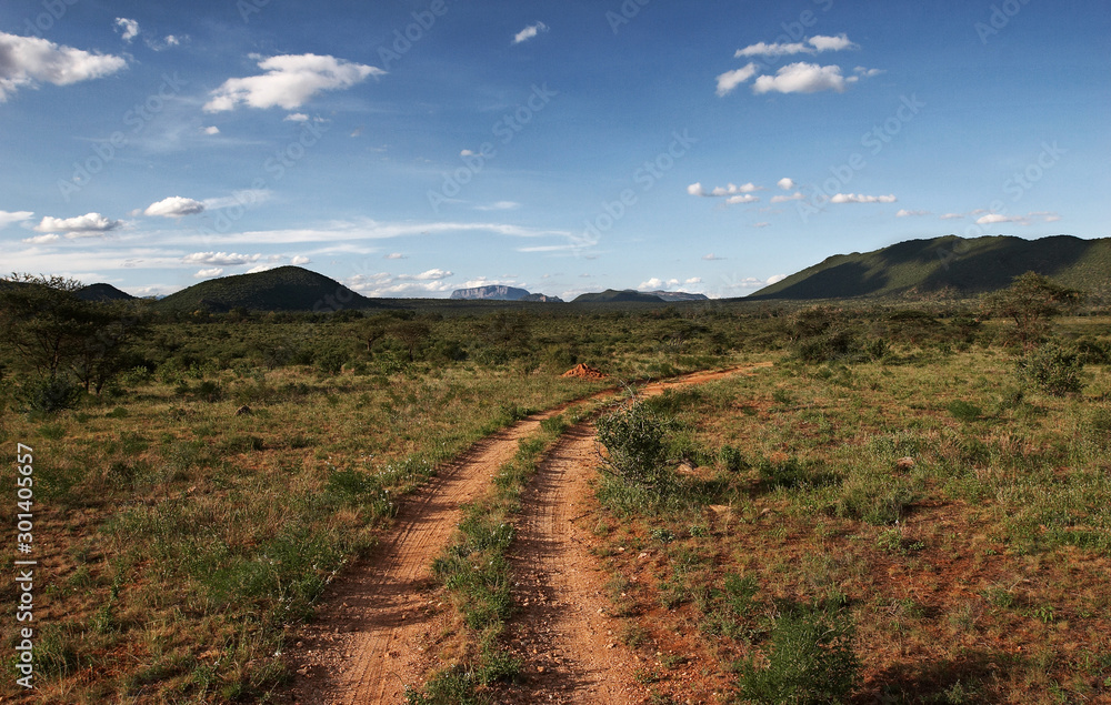 Fototapeta premium Africa Landscape