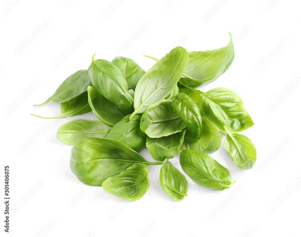 Pile of fresh basil leaves isolated on white Pile of fresh basil leaves isolated on white