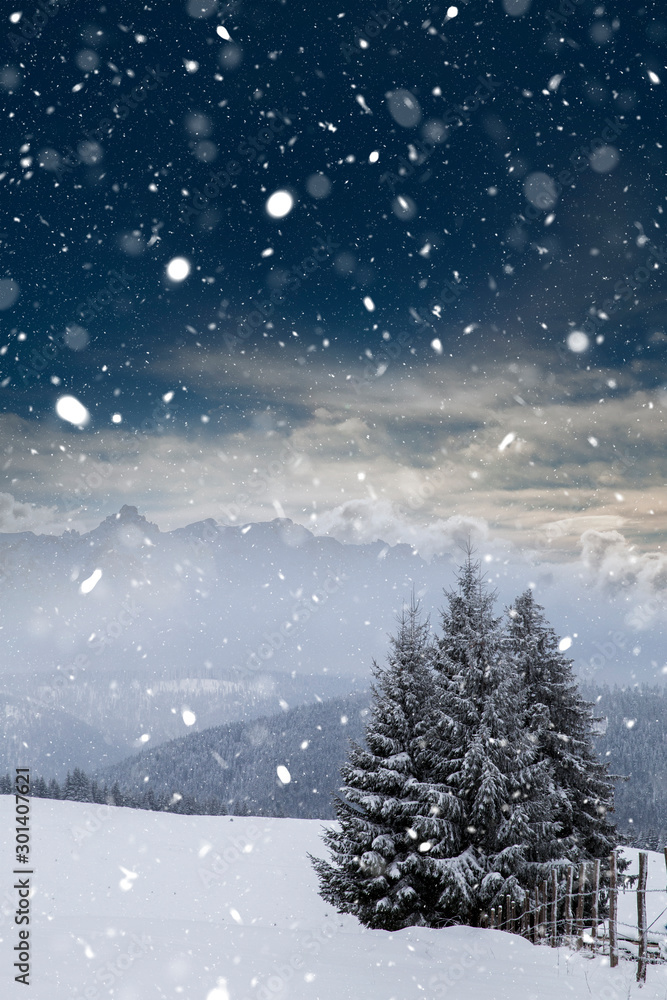 Christmas background with snowy fir trees and mountains in heavy blizzard. Christmas background with snowy fir trees and mountains in heavy blizzard.