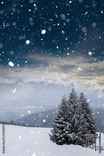 Wallpaper Mural Christmas background with snowy fir trees and mountains in heavy blizzard. Torontodigital.ca