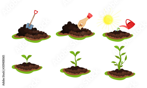 Stages Of Life Cycle Of Plant Growing By Man Vector Illustration