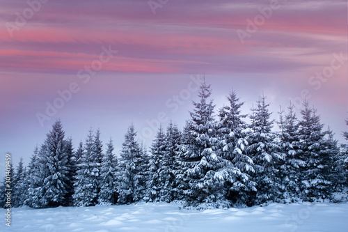 Christmas background with snowy fir trees and mountains in heavy blizzard.