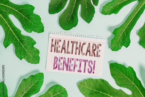 Fototapeta Naklejka Na Ścianę i Meble -  Word writing text Healthcare Benefits. Business photo showcasing monthly fair market valueprovided to Employee dependents Leaves surrounding notepaper above an empty soft pastel table as background