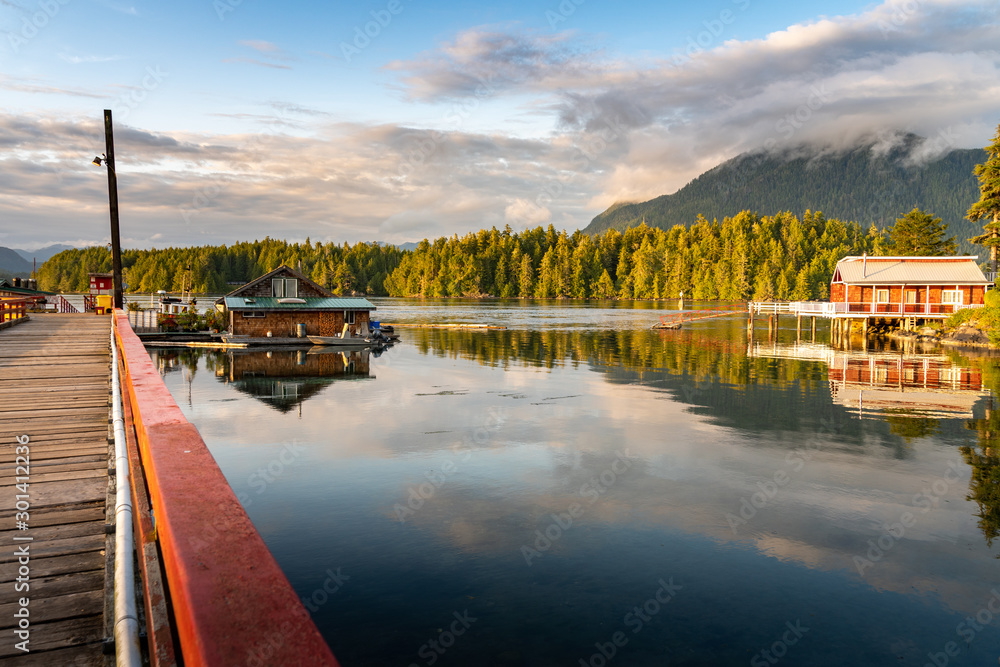 Tofino Harbour, Vancouver Island. British Columbia, Canada