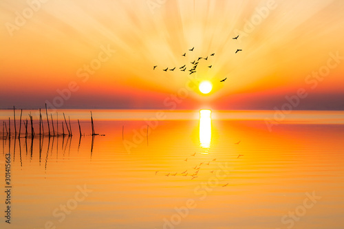 atardecer sobre el lagos con aves volando hacia el sol