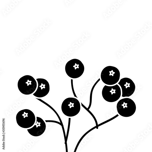 silhouette of branch with holly fruits traditional christmas vector illustration design photo