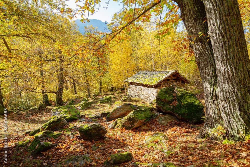 Soglio (CH) - Typical ancient cabin Soglio (CH) - Typical ancient cabin