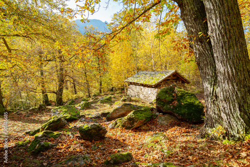 Soglio (CH) - Typical ancient cabin