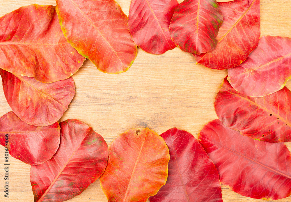 Autumn leaf on wooden background. Autumn leaf on wooden background.