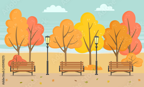 Autumn park with foliage on road and colorful woods. Cold weather and cloudy sky, nobody bench with lamps in urban place. Leisure on wooden seat near trees with falling leaves on meadow vector