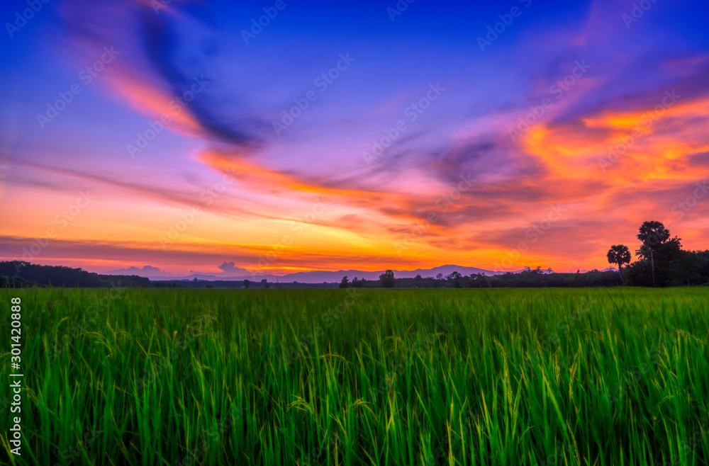 Scene of beautiful sunrise in the morning. Scene of beautiful sunrise in the morning.